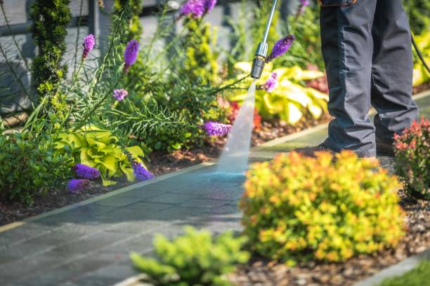 Best Restaurant Pressure Washing  in Beeville, TX